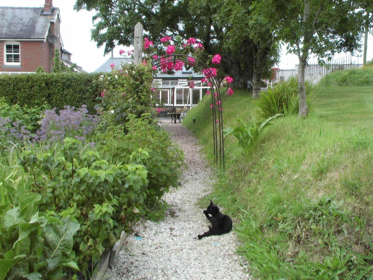Bangors Organic Bed & Breakfast Bude Exterior photo