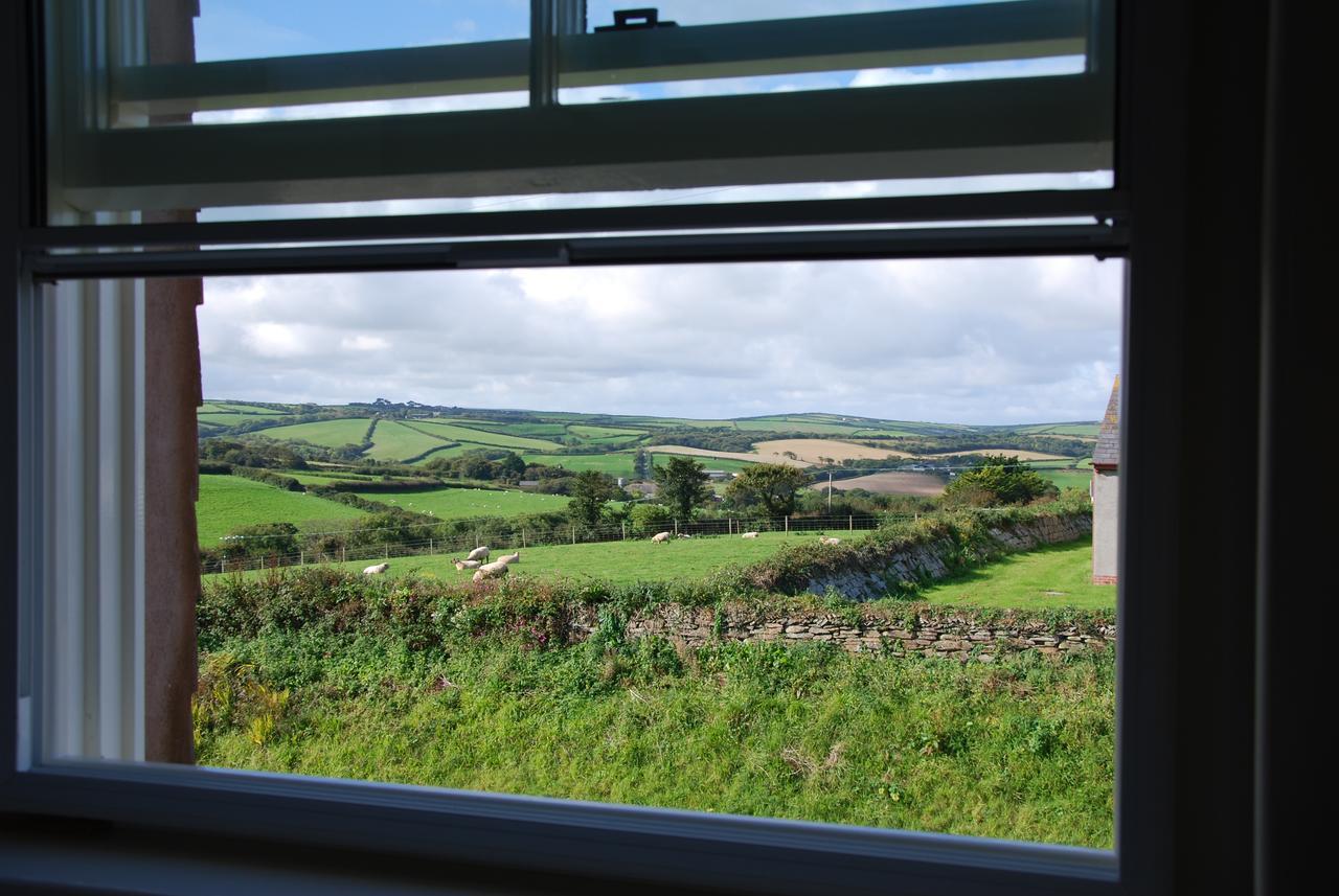 Bangors Organic Bed & Breakfast Bude Exterior photo